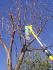 Gotcha Sprayer Adaptor Spraying Tree Prunning Compound
